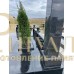 Элитный памятник №81 — ritualum.ru